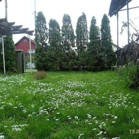 Kuca Za Odmor Jelena Apartment Cladova Exterior foto