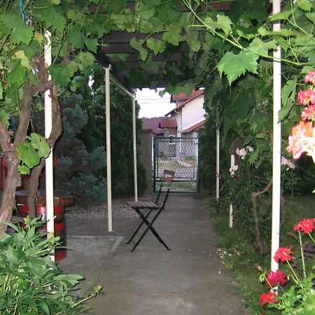 Kuca Za Odmor Jelena Apartment Cladova Exterior foto