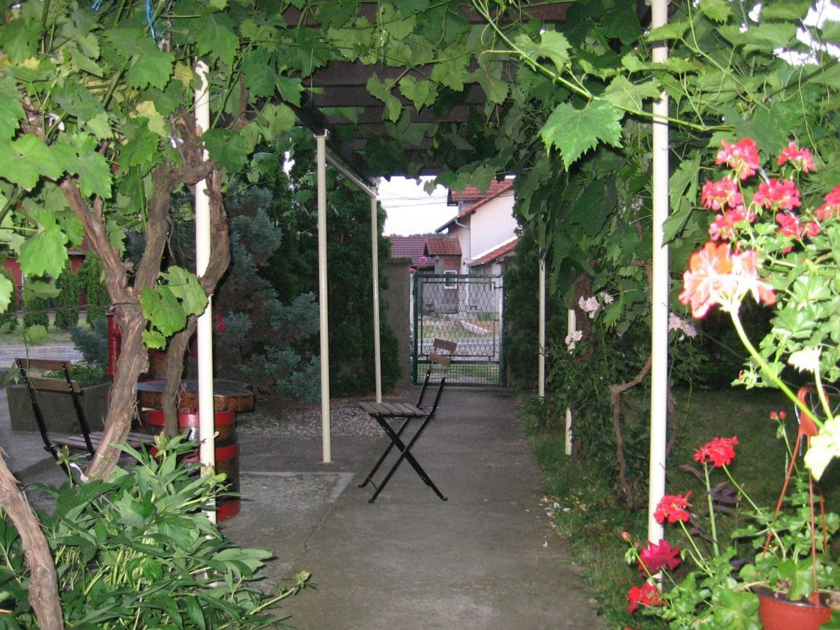 Kuca Za Odmor Jelena Apartment Cladova Exterior foto