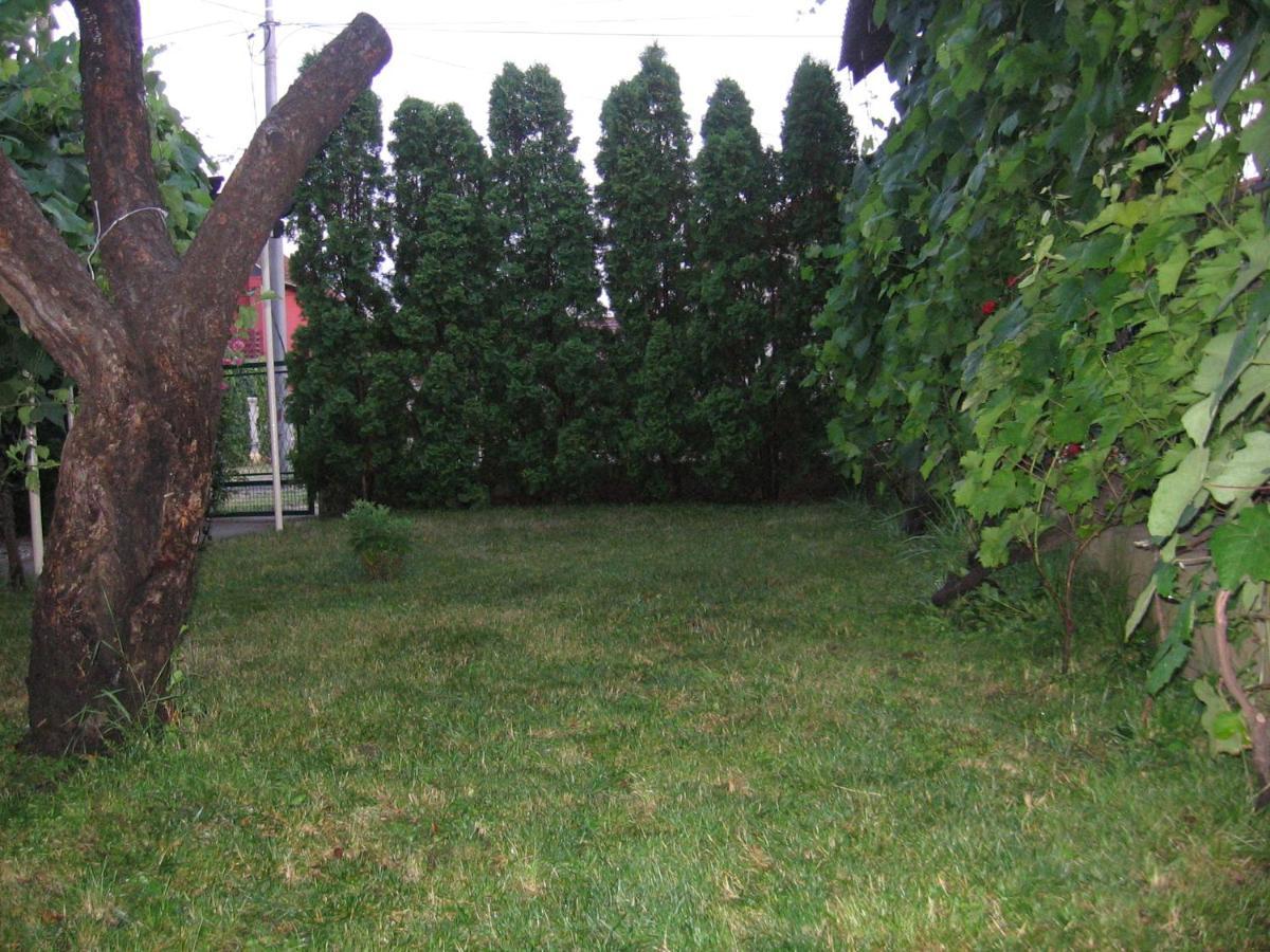 Kuca Za Odmor Jelena Apartment Cladova Exterior foto