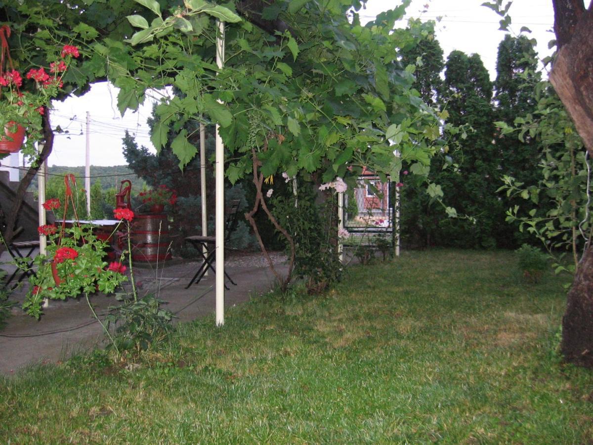 Kuca Za Odmor Jelena Apartment Cladova Exterior foto